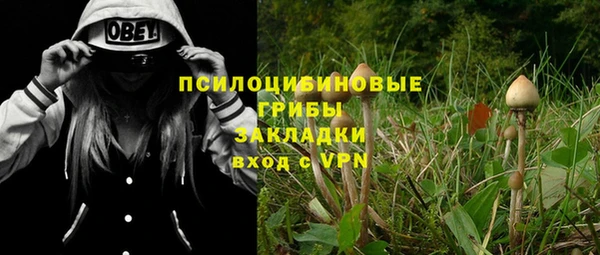 мяу мяу кристалл Гусев