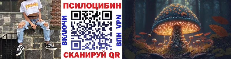 Галлюциногенные грибы GOLDEN TEACHER  Щучье 